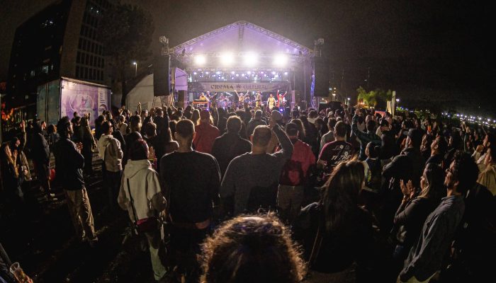 MultidÃ£o em um show de mÃºsica ao vivo noturno, de costas para a cÃ¢mera, olhando para um ...