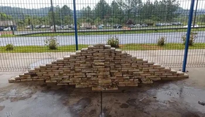 https://www.facebook.com/elizandra.nobrega